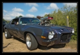 Hot Camaro  - 1